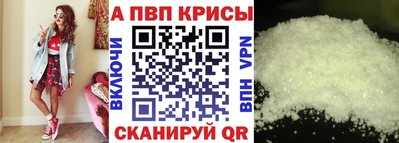 A PVP СК КРИС  Лениногорск 