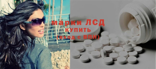 шишки Баксан