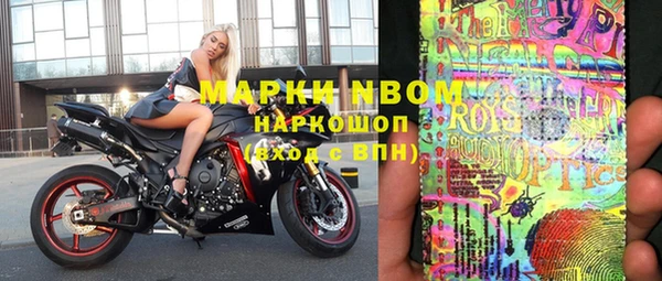 шишки Баксан