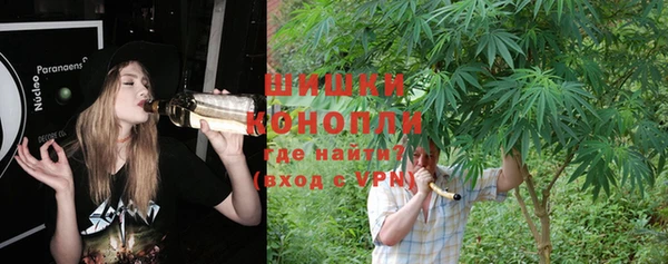 шишки Баксан