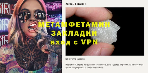 трава Ельня