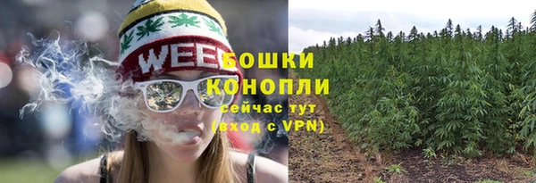 мдпв Елабуга