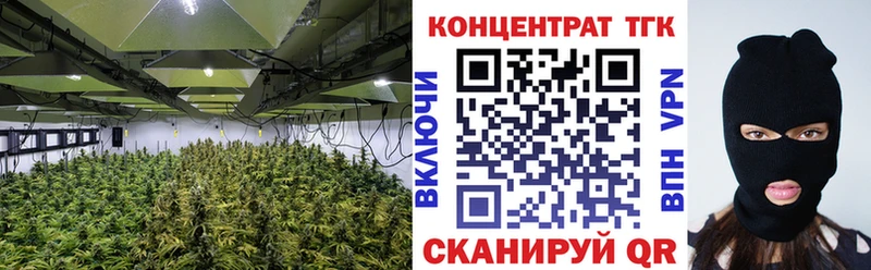 ТГК Wax  Лениногорск 