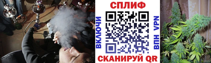 Каннабис семена Лениногорск